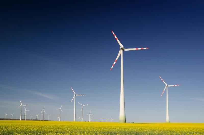 Le secteur de l'énergie